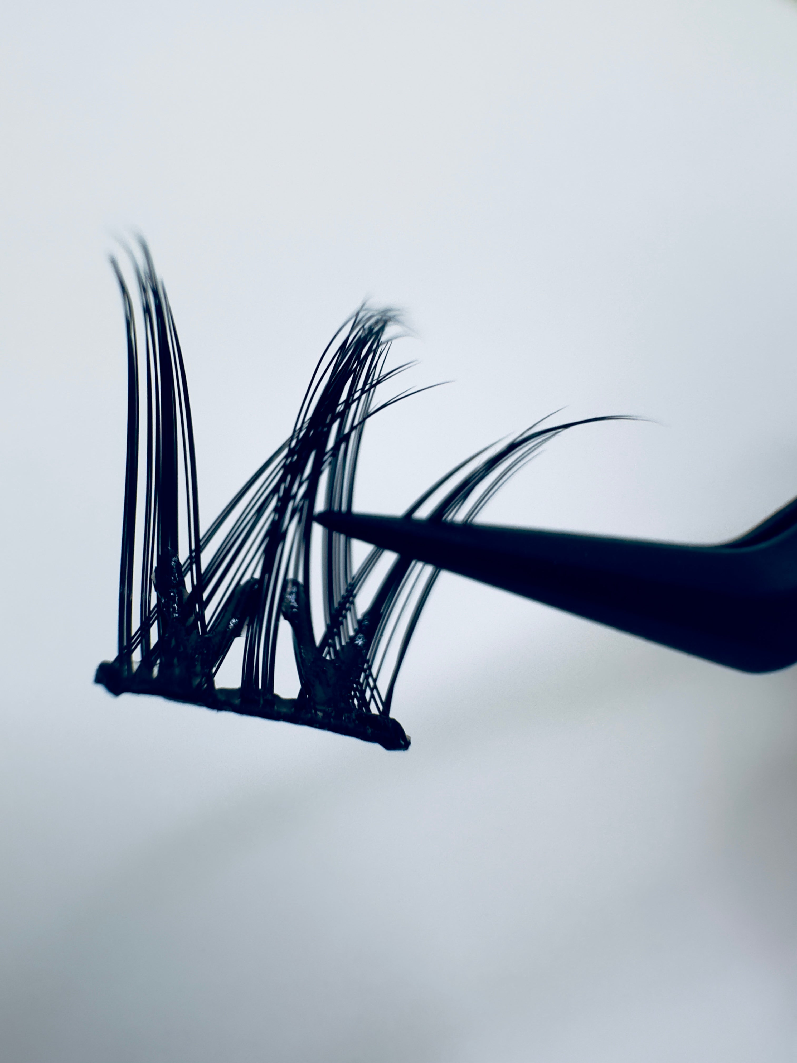 SPIKY - No Glue Lashes