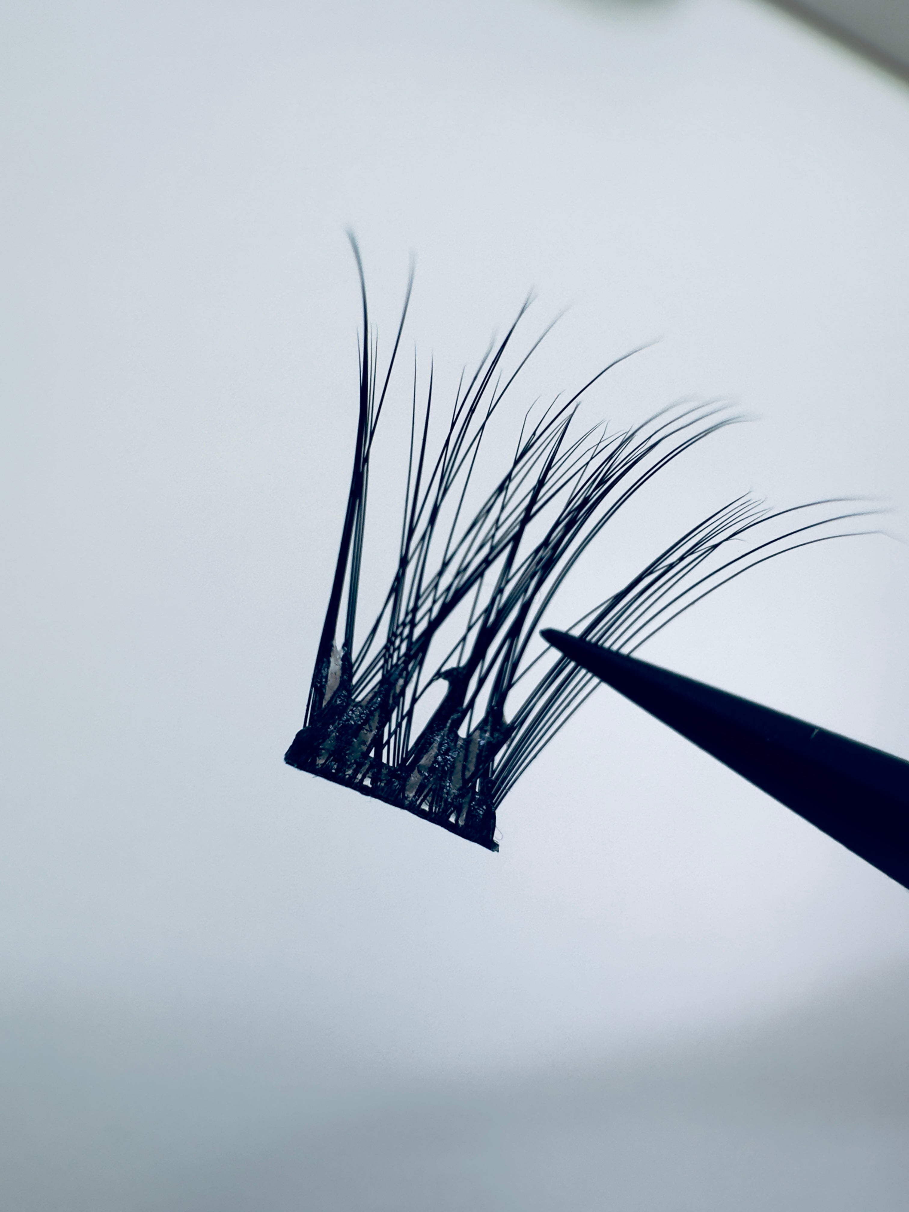 SOFT VOLUME - No Glue Lashes