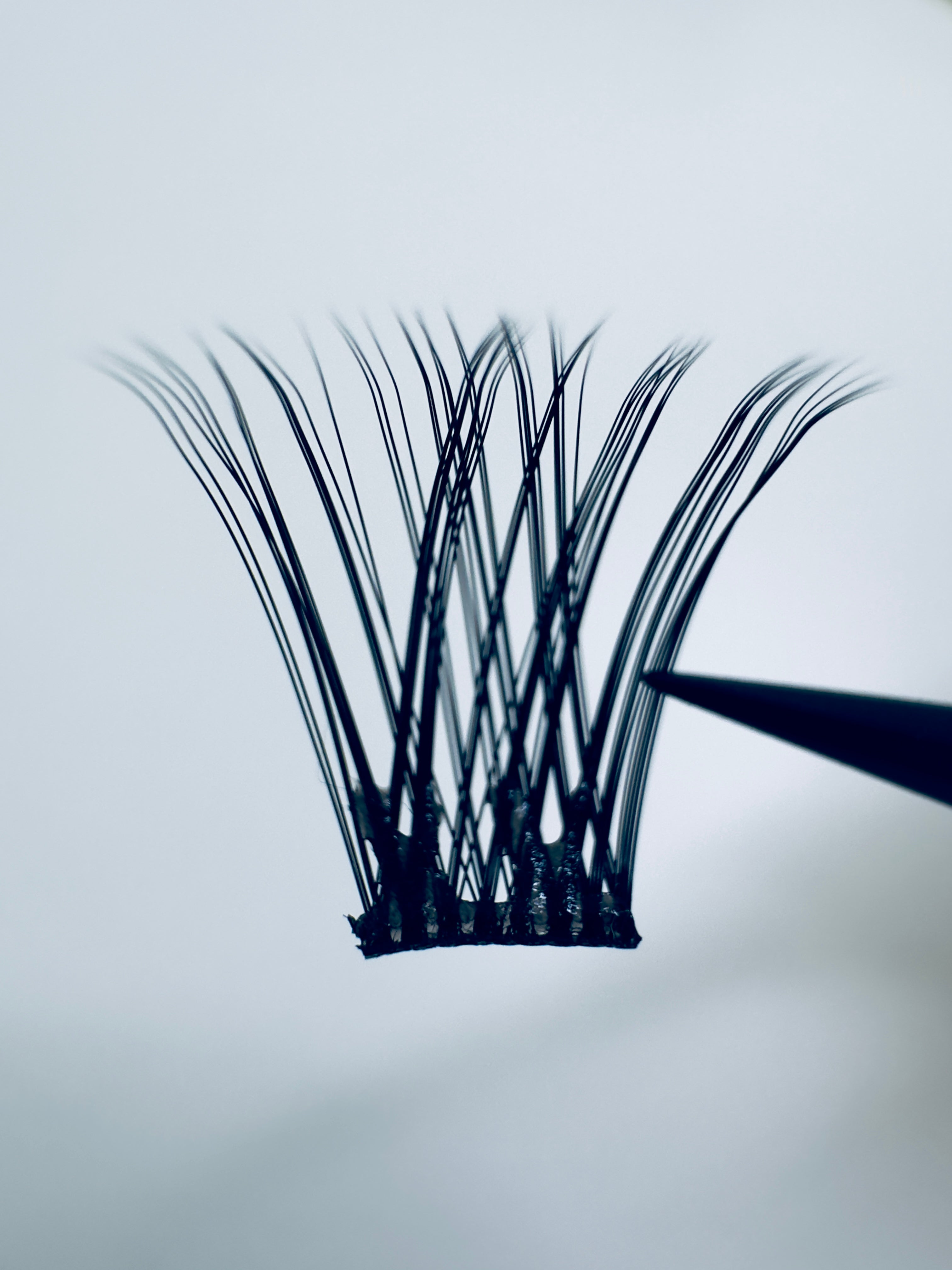 FULL VOLUME No Glue Lashes- BACK IN STOCK SOON!