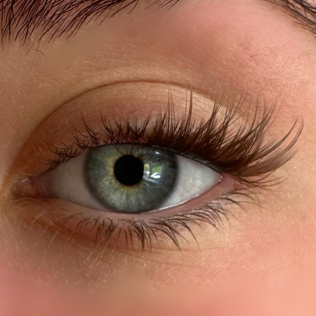 Brown Mini Wing
