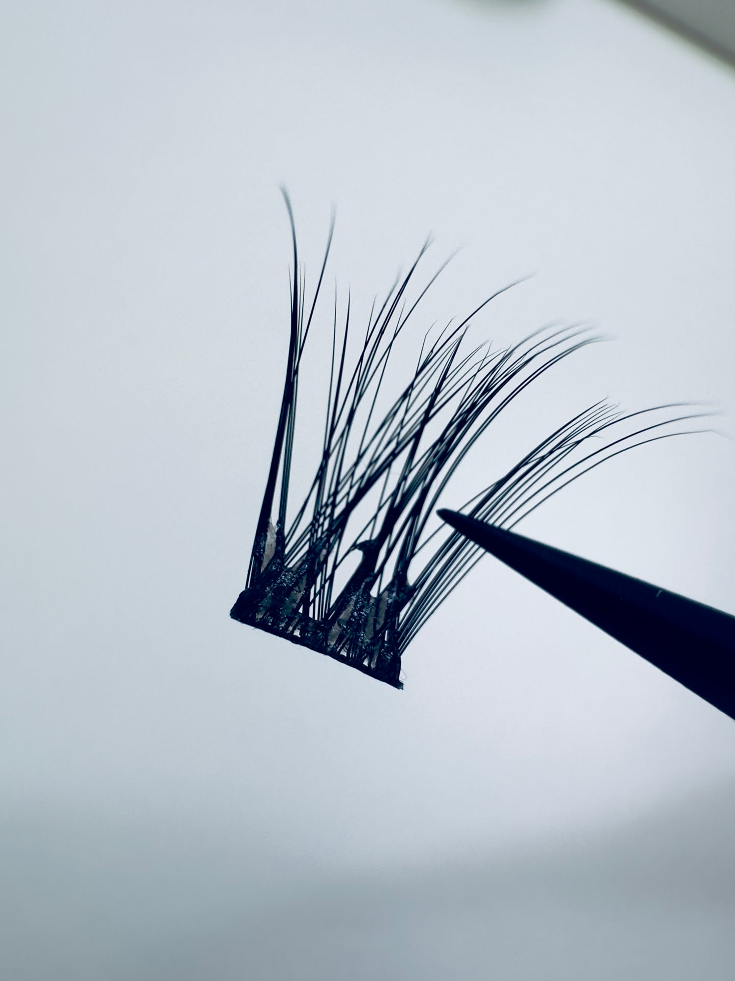 SOFT VOLUME - No Glue Lashes