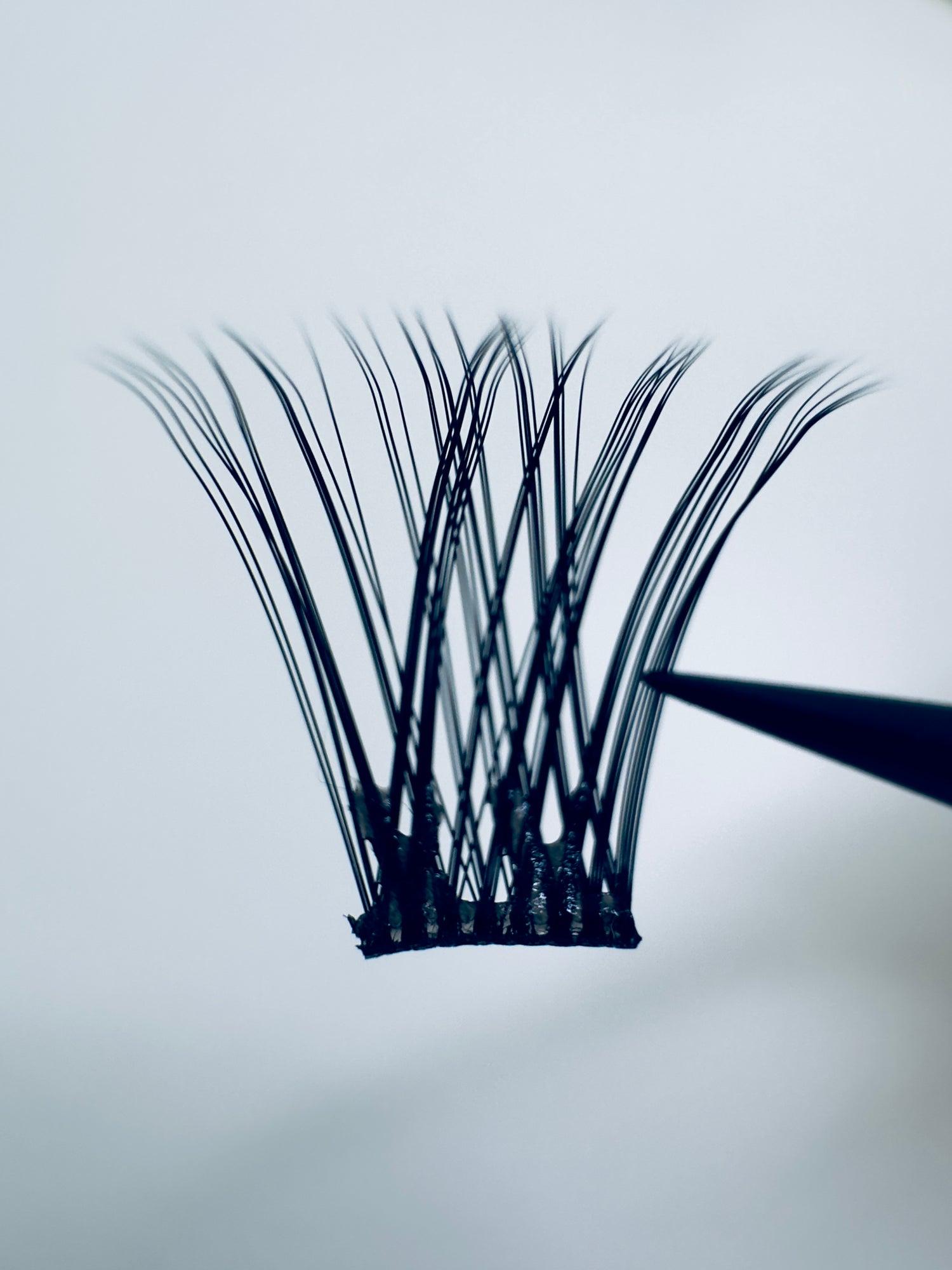FULL VOLUME No Glue Lashes- BACK IN STOCK SOON!