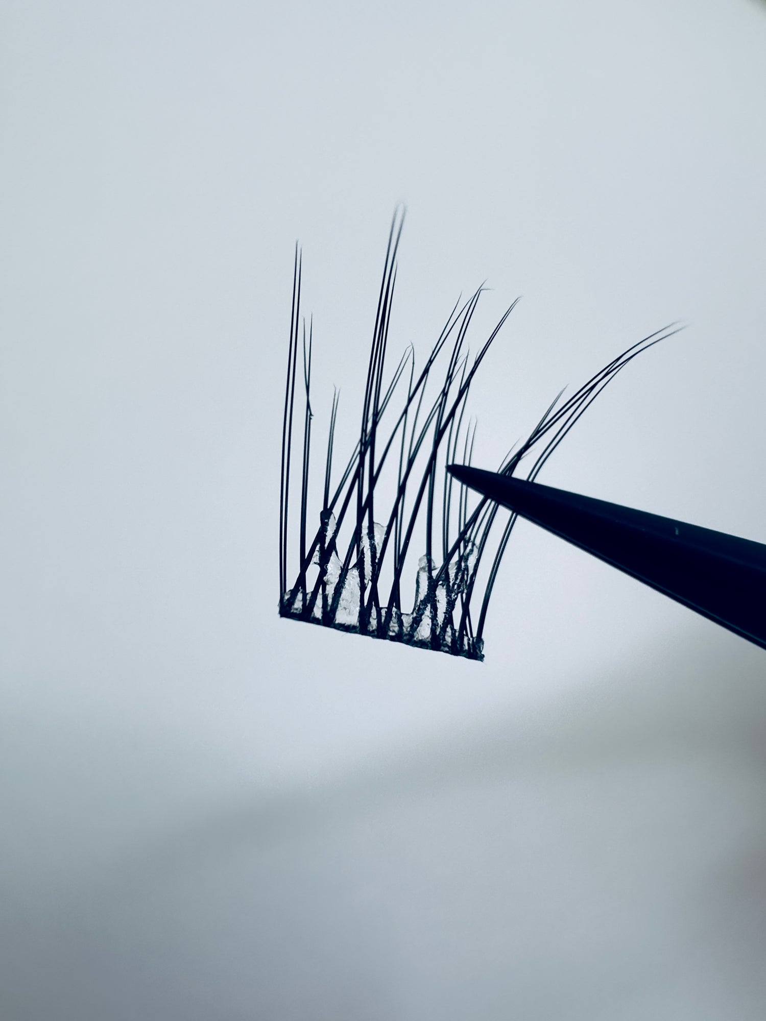 NATURAL - No Glue Lashes