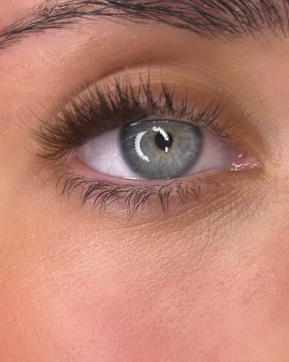 Mini Wing - Brown