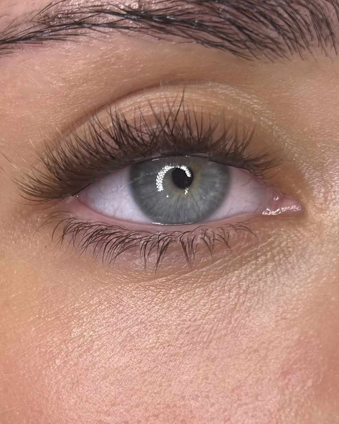 WING Xtend - BROWN